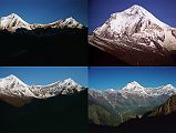204 Dhaulagiri and Tukuche Peak After Sunrise From Shepherds Kharka Dhaulagiri and Tukuche Peak early morning from Shepherd�s Kharka (3760m) on the way to Annapurna North Base Camp.  �Behind us, as we climbed today, we could see the full extent of the size of Dhaulagiri. It must have one of the largest reliefs in the world from the river valley at about 6,000 feet to the summit at 26,000 feet - 20,000-vertical feet within about seven miles horizontal distance� (Maurice Herzog, Annapurna).